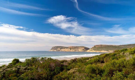 Lew Geffen Sotheby's International Realty Plettenberg Bay