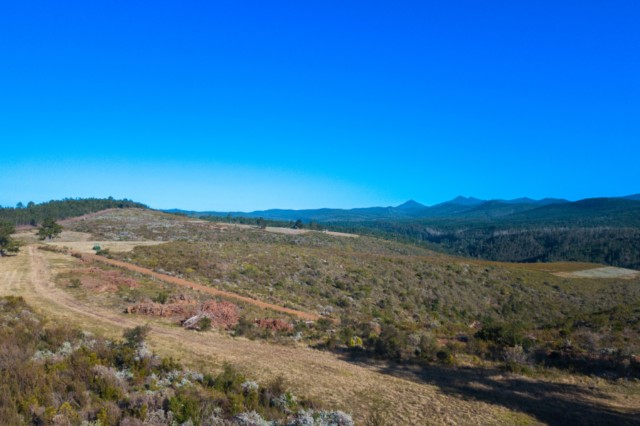 Uplands