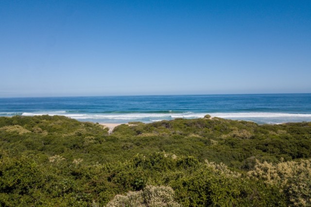 DOLPHINS PATH 79