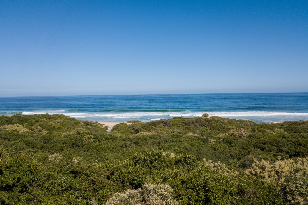 DOLPHINS PATH 79