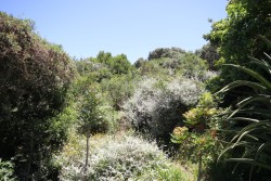 Img15106_2