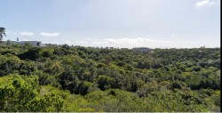 Img15413_5